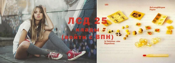ECSTASY Лагань